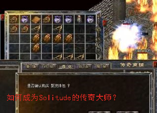 ��γ�ΪSolitude�Ĵ����ʦ��