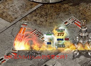 ��γ�ΪSolitude�Ĵ����ʦ��