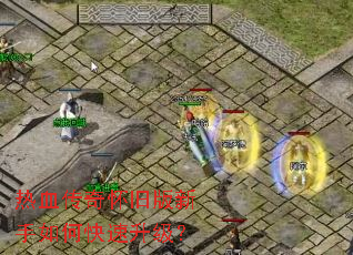 ��Ѫ���滳�ɰ�������ο���������