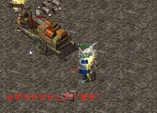 ����������ʲô������Ҫ��