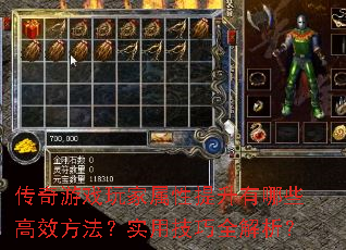 传奇游戏玩家属性提升有哪些高效方法?实用技巧全解析? 传奇游戏玩家属性提升有哪些高效方法?实用技巧全解析?