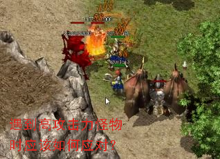 �����߹���������ʱӦ�����Ӧ�ԣ�