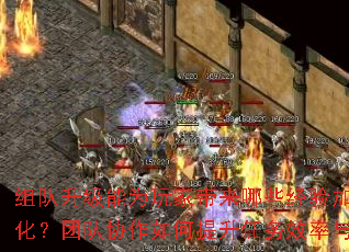 组队升级能为玩家带来哪些经验加成与资源优化?团队协作如何提升任务效率与安全系数? 组队升级能为玩家带来哪些经验加成与资源优化?团队协作如何提升任务效率与安全系数?