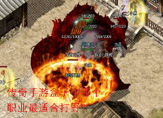 传奇手游盒子中哪个职业最适合打野? 传奇手游盒子中哪个职业最适合打野?