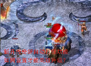 �¿�����SF�Զ���ֹ���������ò��ܸ�Ч������