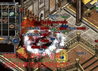 2025����й�ܻ���΢�����ο�������ս����