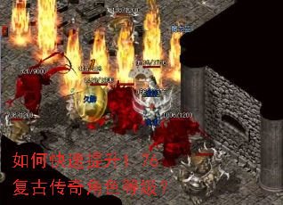 ��ο�������1.76���Ŵ����ɫ�ȼ���