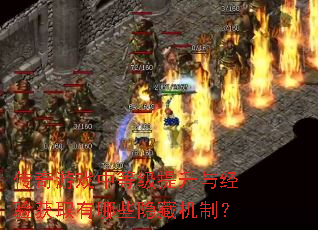 ������Ϸ�еȼ������뾭���ȡ����Щ���ػ��ƣ�