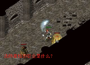 ��ʦ���µ�ְҵ��ʲô��