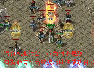 ����˽���л�bossΪ�β������о����У���Ч��������ɹ��ٻ�