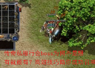 ����˽���л�bossΪ�β������о����У���Ч��������ɹ��ٻ�