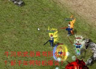 ţ��ˢ����������ô������������ɱ�װ��