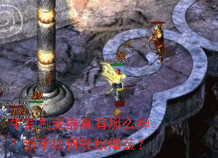 ţ��ˢ����������ô������������ɱ�װ��