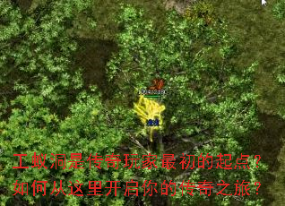 工蚁洞是传奇玩家最初的起点?如何从这里开启你的传奇之旅? 工蚁洞是传奇玩家最初的起点?如何从这里开启你的传奇之旅?