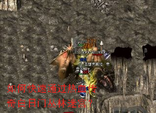 ��ο���ͨ����Ѫ��������Ŵ����Թ���