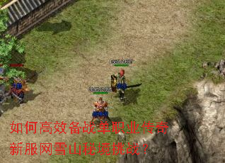 ��θ�Ч��ս��ְҵ�����·���ѩɽ�ؾ���ս��