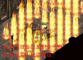 ��θ�Ч��ս��ְҵ�����·���ѩɽ�ؾ���ս��