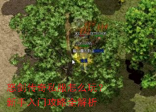 怒剑传奇私服怎么玩?新手入门攻略全解析 怒剑传奇私服怎么玩?新手入门攻略全解析