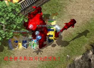 战士新手期如何快速成长? 战士新手期如何快速成长?