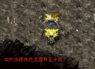 如何快速将月灵提升至十级? 如何快速将月灵提升至十级?