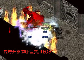 ������������Щʵ�ü��ɣ�