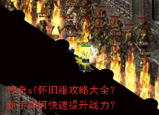 ����sf���ɷ����Դ�ȫ��������ο�������ս����