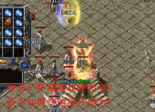 ����sf���ɷ����Դ�ȫ��������ο�������ս����