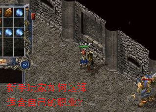 ����������ѡ���ʺ��Լ���ְҵ��