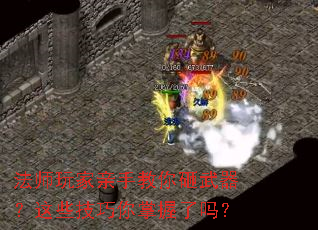 ��ʦ������ֽ�������������Щ��������������