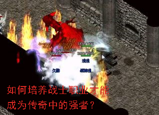 �������սʿְҵ���ܳ�Ϊ�����е�ǿ�ߣ�