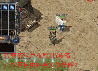 ��������Ƭ����DIY���ԣ����������϶��޼��ܣ�