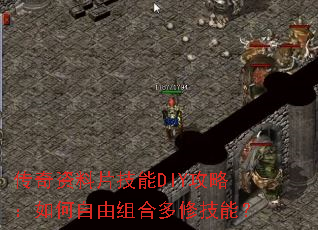 ��������Ƭ����DIY���ԣ����������϶��޼��ܣ�