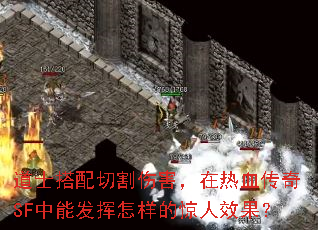 道士搭配切割伤害,在热血传奇SF中能发挥怎样的惊人效果? 道士搭配切割伤害,在热血传奇SF中能发挥怎样的惊人效果?