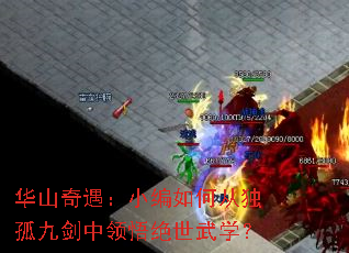 ��ɽ������С����δӶ��¾Ž������������ѧ��