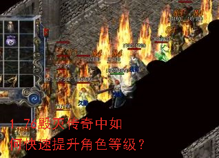 1.76����������ο���������ɫ�ȼ���