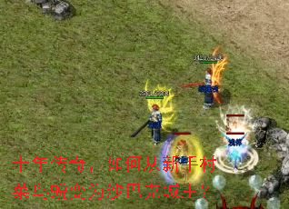 ʮ�괫�棬��δ����ִ�����ɱ�Ϊɳ�Ϳ˳�����