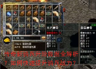 �����������������ȫ��������ο����������ս����