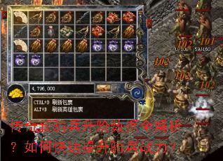 �����������������ȫ��������ο����������ս����