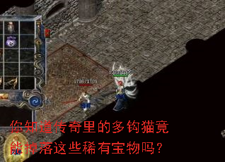 ��֪��������Ķ๳è���ܵ�����Щϡ�б�����