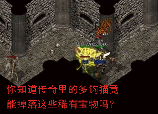 ��֪��������Ķ๳è���ܵ�����Щϡ�б�����