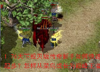 1.76���»���洫��������ο����𲽣������Ӳ���ɳ�Ϊ�۷����ߣ�