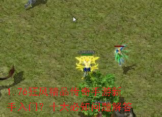 1.76��羫Ʒ���������������ţ�ʮ���֪������