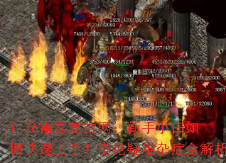 1.76����������������С����ο������֣�����������֢ȫ����