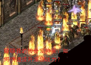 �����ҵĴ������Ȧ����ο�����������ս����