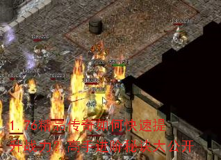 1.76��Ʒ������ο�������ս�������ֽ����ؾ��󹫿�