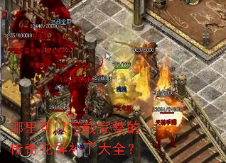 ����������������Ĵ��滨��������ȫ��