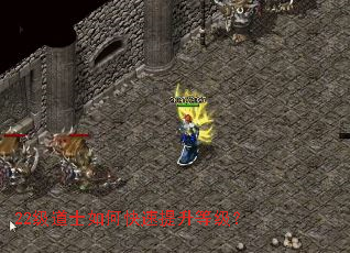 22����ʿ��ο��������ȼ���