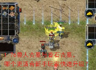 1.76���˹�Ĺ����ʯ��Ĺ���ĸ����ʺ�������ҿ���������