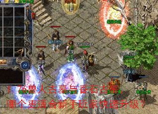 1.76���˹�Ĺ����ʯ��Ĺ���ĸ����ʺ�������ҿ���������