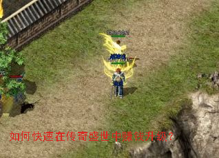 ��ο����ڴ���ʢ����׬Ǯ������